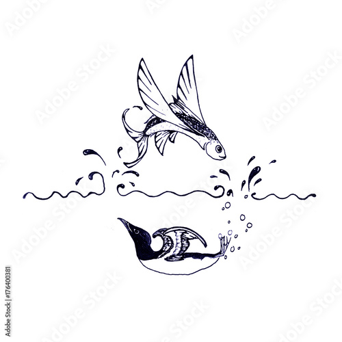 Valokuva Flying fish and swimming bird