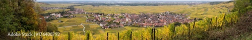Route des vins d Alsace  village d Ammerschwihr et la plaine d Alsace  Haut-Rhin  Alsace  Grand Est  France