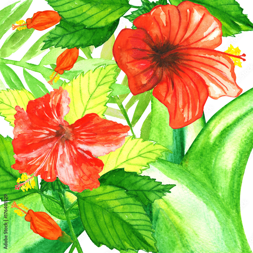watercolor tropic plants with red hibiscus