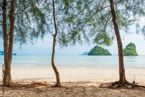 empty sandy beach with trees, sea view Thailand © kosmos111