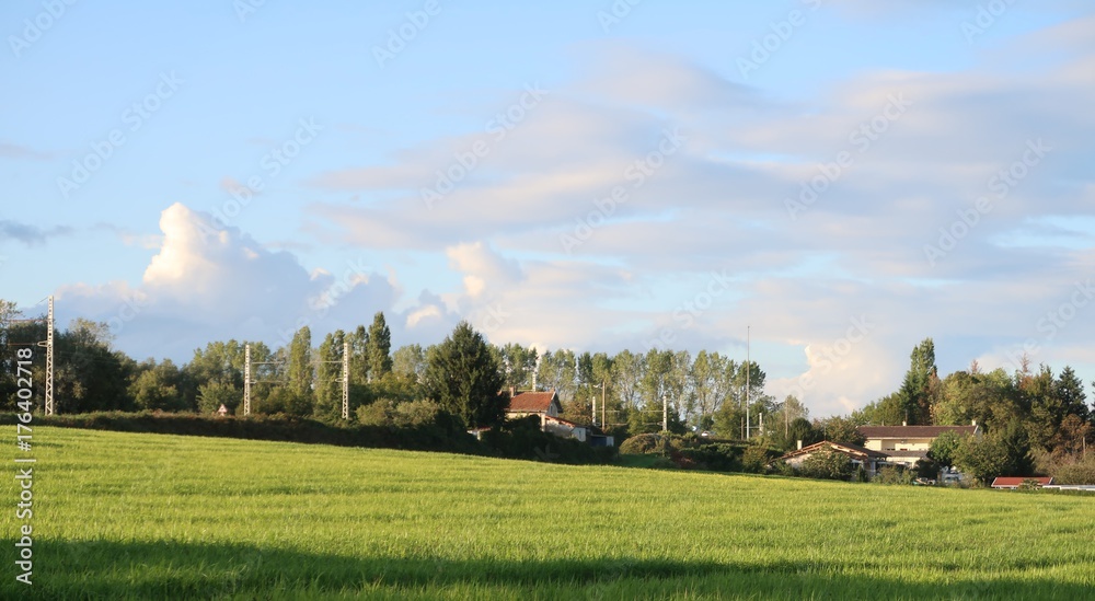 Agricultural field Agricultural field