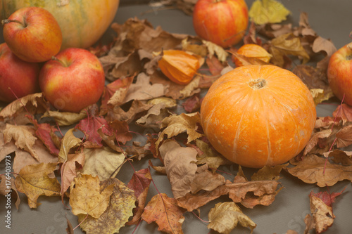 Colorful autumn background for Halloween and Thanksgiving