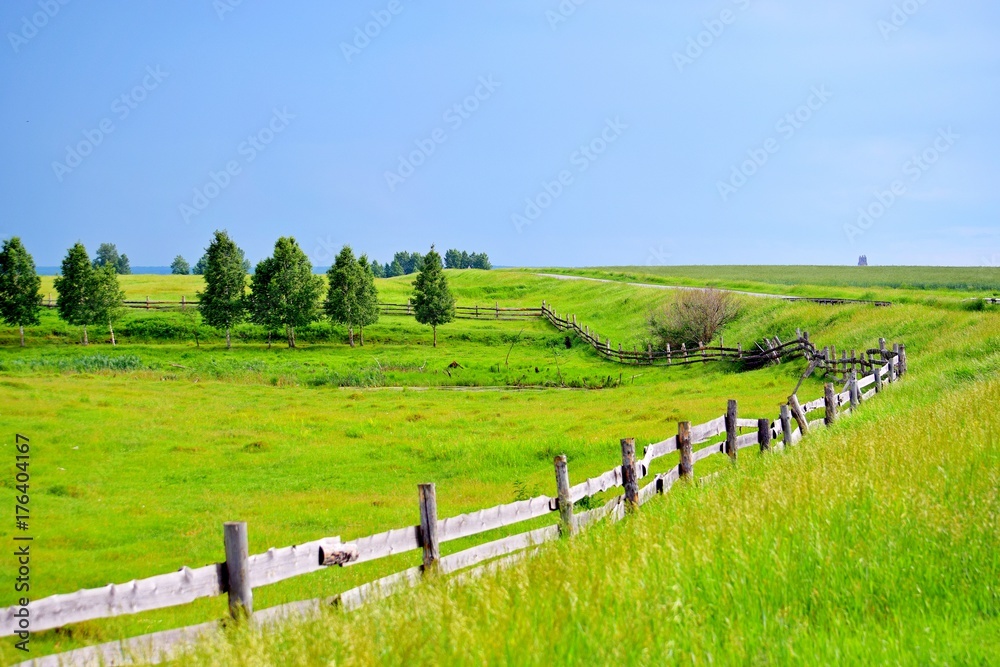 Obraz premium native land