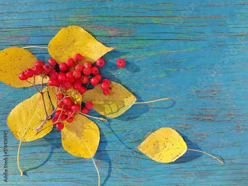 Autumn leaves and mountain ash berries, put in a pattern, on a wooden background