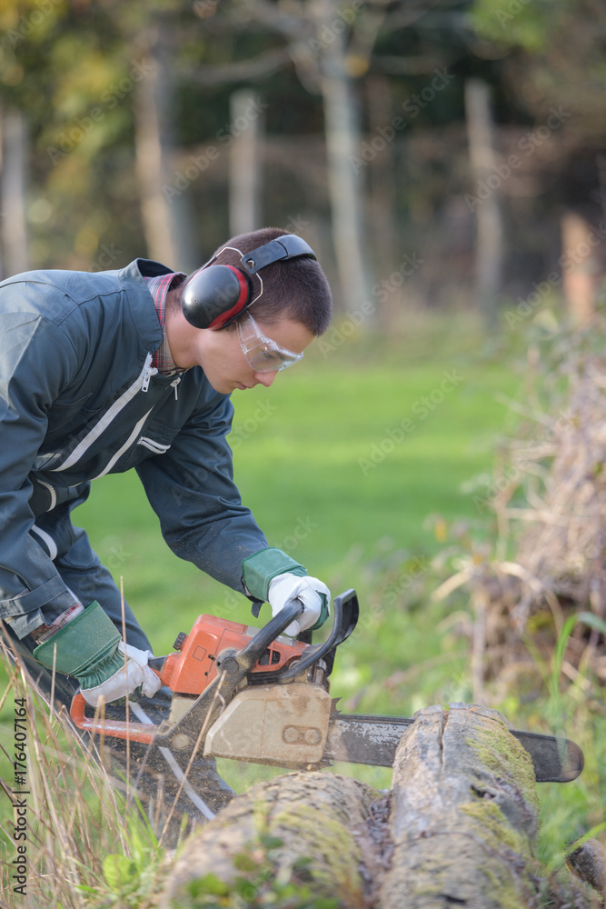 Obraz premium cutting a fallen tree