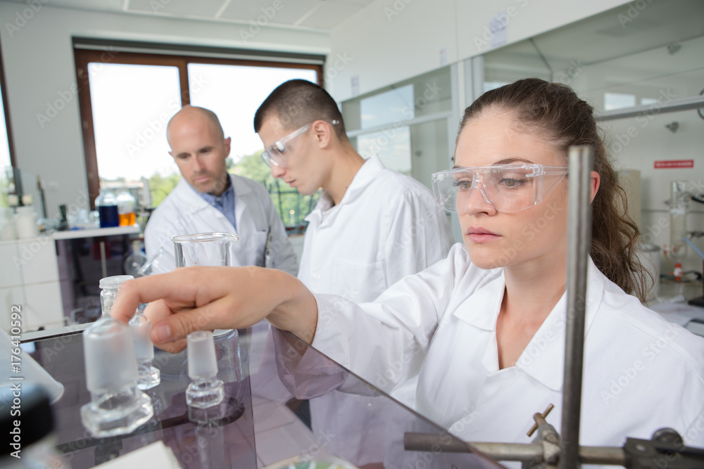 Fototapeta premium students leading an experiment in the laboratory