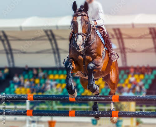 Bay dressage horse and rider in white uniform performing jump at show jumping competition. Equestrian sport background. Bay horse portrait during dressage competition. 