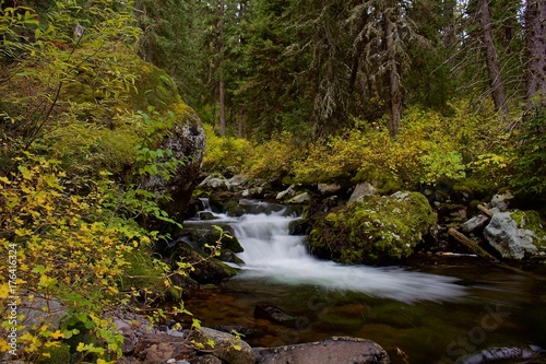 Small Waterfall Flowing From a Mountain Stream