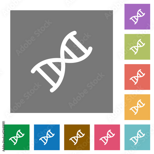 DNA molecule square flat icons