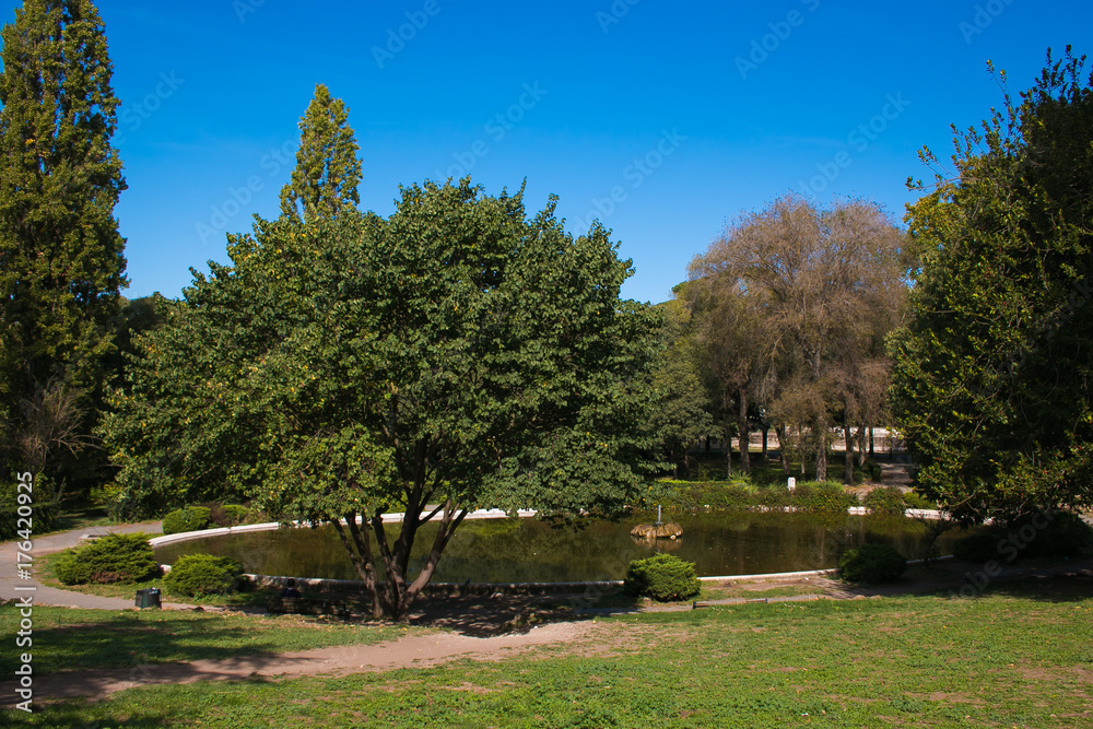 Piccolo laghetto nel giardino di Villa Borghese a Roma