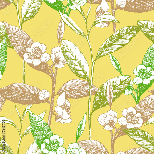 Hand-drawn seamless pattern with tea leaves and flowers, vector