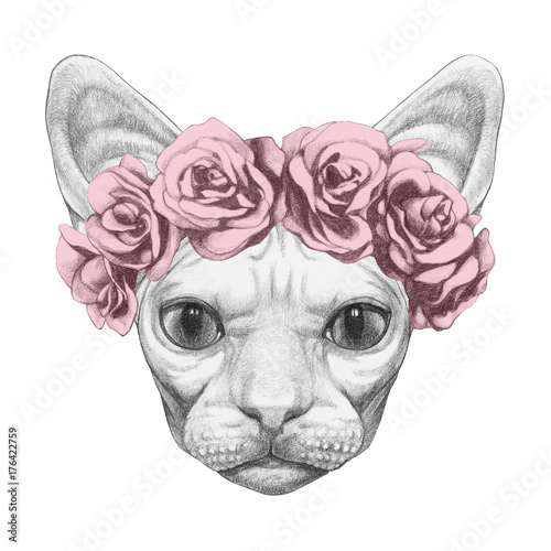 Portrait of Sphynx Cat with floral head wreath. Hand-drawn illustration.