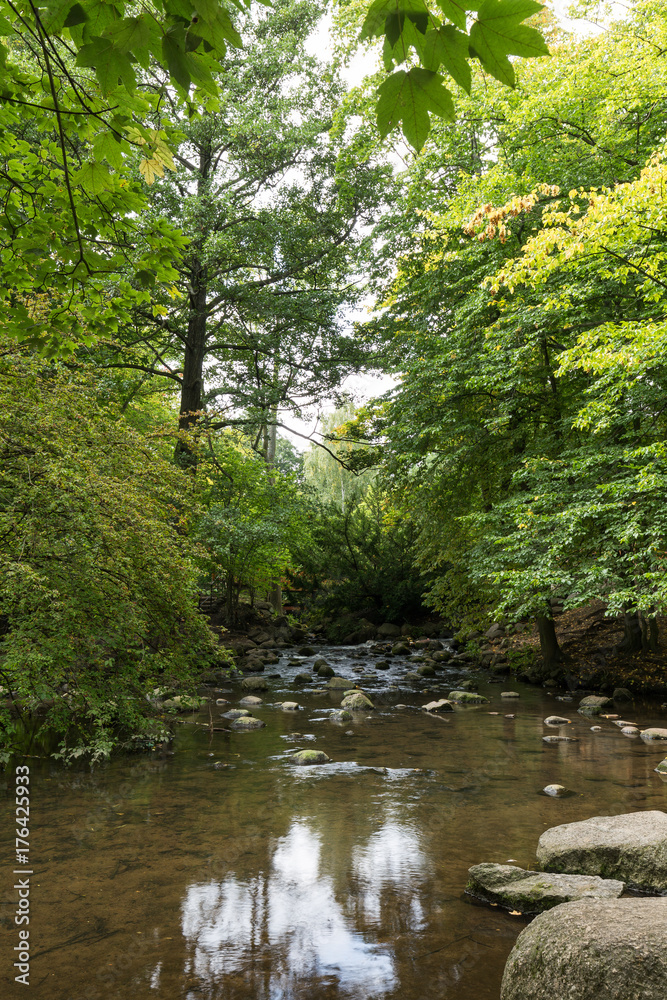 Small and shallow stream at the lush and verdant Oliwa Park (Park Oliwski). It's a public park in Gdansk, Poland. Small and shallow stream at the lush and verdant Oliwa Park (Park Oliwski). It's a public park in Gdansk, Poland.