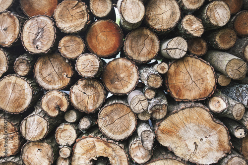 Logs of fire wood