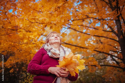 Middle-aged woman gathers maple leaves