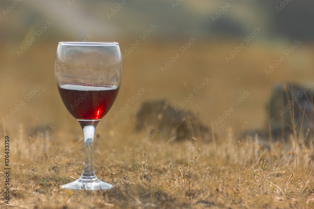 Glass of red wine with grapes, neutral background, Stock image