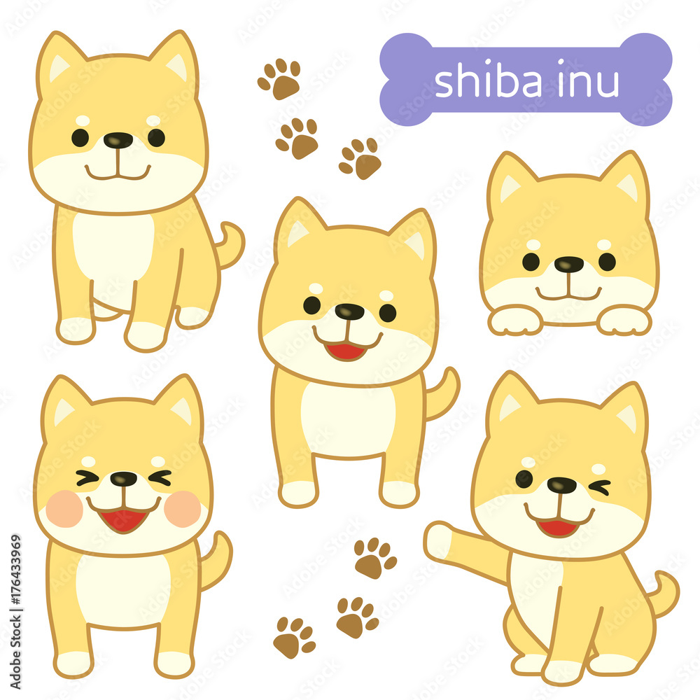 柴犬 イラスト Stock Vector Adobe Stock