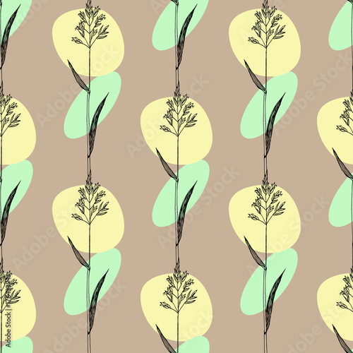 Herbal seamless pattern with hand drawn kentucky bluegrass . Vector swatch