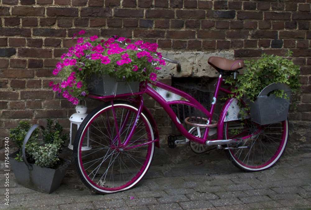 Bike with pink flowers 