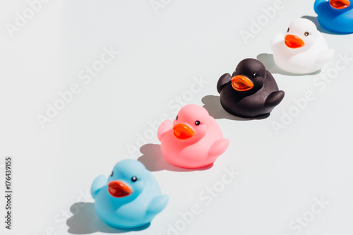 Colorful rubber ducks