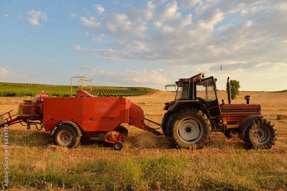 Tractor working in a wheat field Tractor working in a wheat field