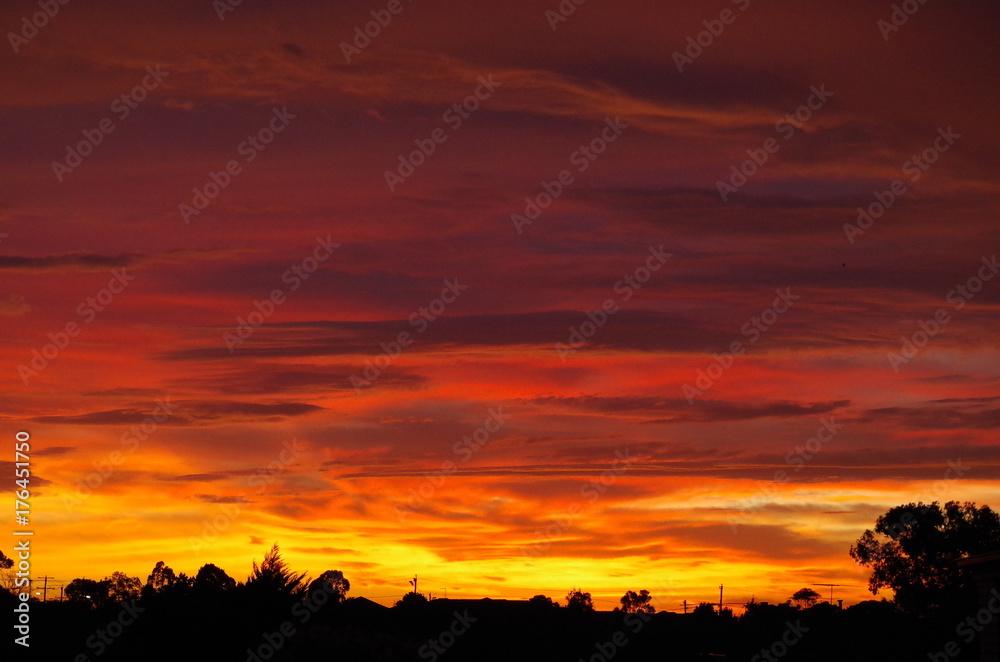 Fototapeta premium Dawn1