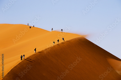 Dune e deserto