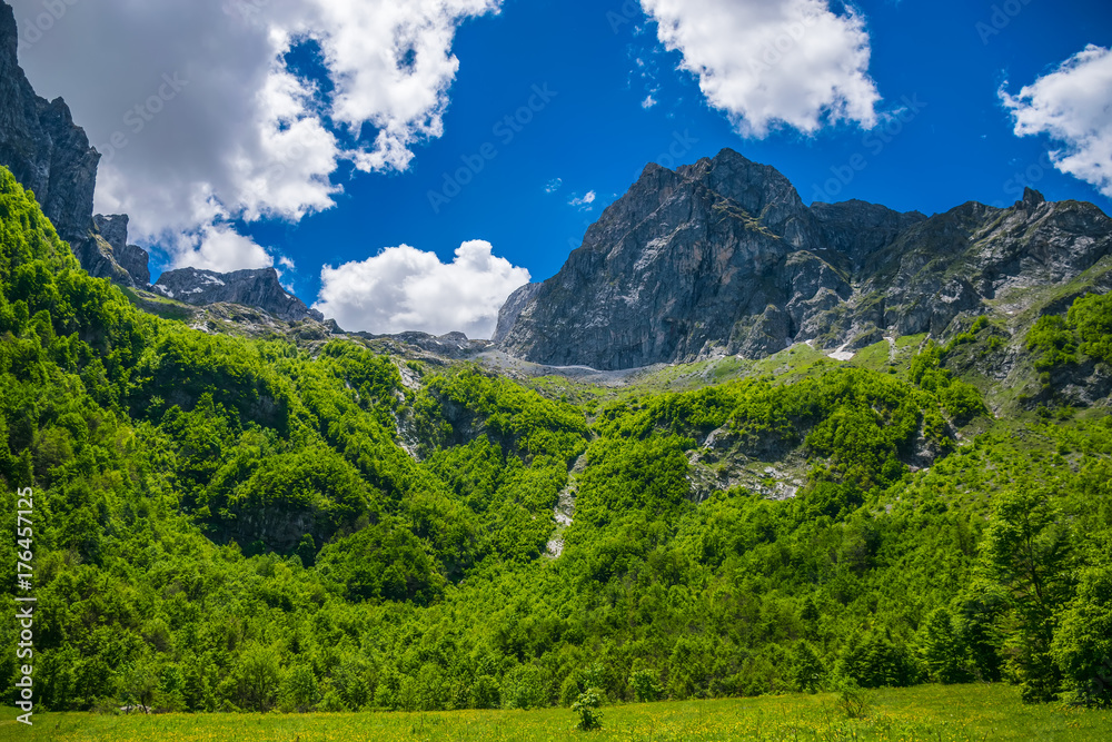Naklejka premium Scenic forest and meadows among the high snow-capped mountains.
