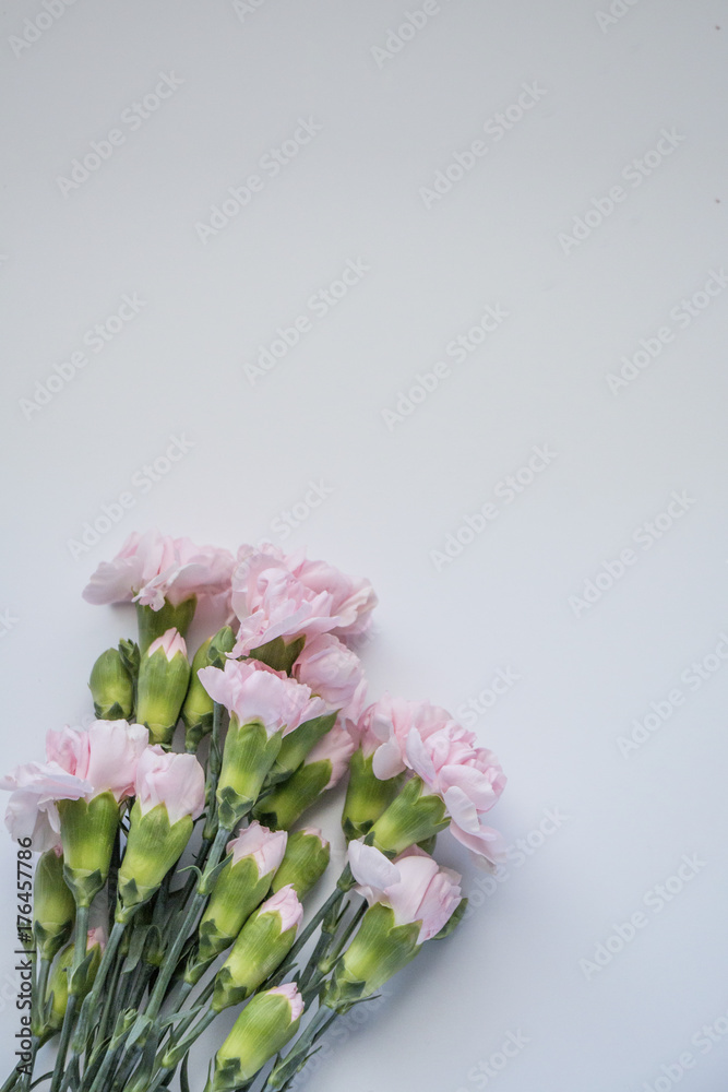 Rose Gold / Peach Mockup Rose Gold / Peach Mockup