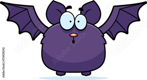 Surprised Little Bat