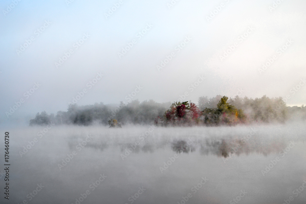 Fototapeta premium Foggy Fall