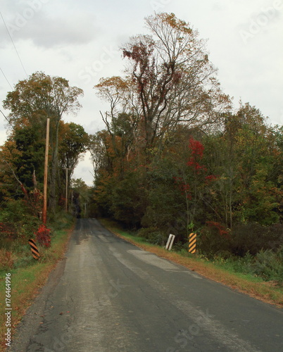 Lonely Road