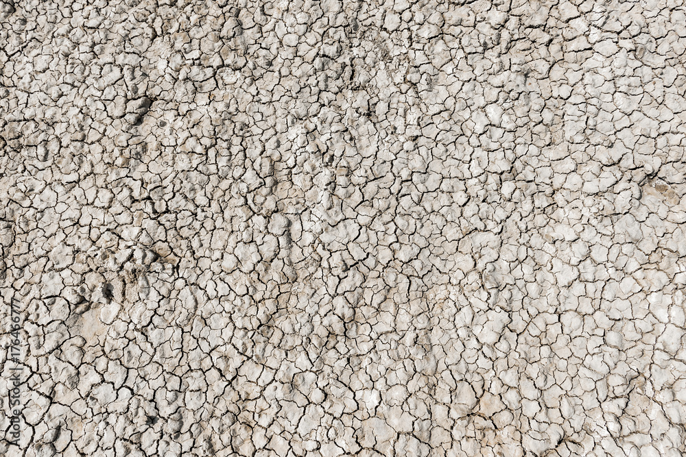 Cracked earth Cracked earth