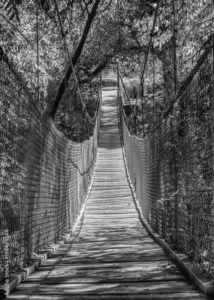 Fototapeta premium suspension bridge