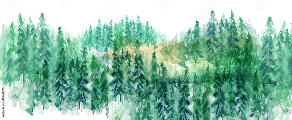 Fototapeta Akwarela grupa drzew - jodła, sosna, cedr, jodła. zielony las, krajobraz wsi. Rysować na białym odosobnionym tle.