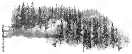 Akwarela grupa drzew - jodła, sosna, cedr, jodła. czarno-biały las, krajobraz wsi. Rysunek na białym tle na białym tle.