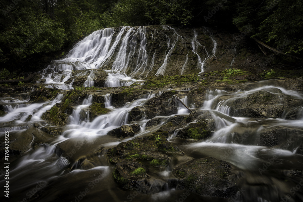 Fototapeta premium Sweeping Love