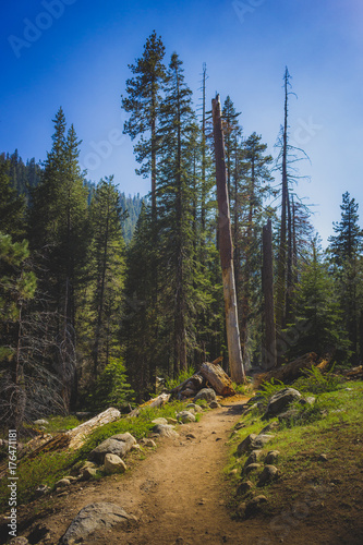 Tokopah Valley Trail photo