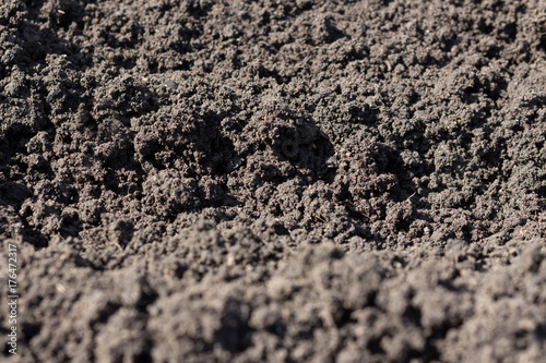 A strip of black earth close-up background. photo