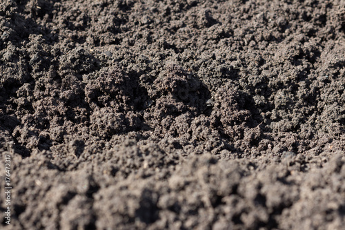 Fotografi A strip of black earth close-up background.