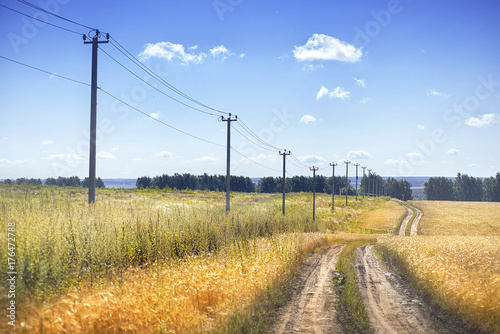 Road between field and forest on a bright Sunny day
