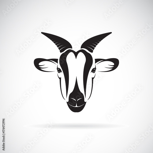 Vector of goat head design on white background. Wild Animals.