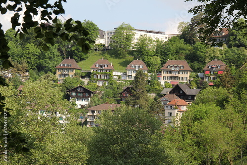 houses on green