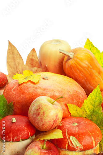 Autumn display with pumpkin and leaves isolated on white background