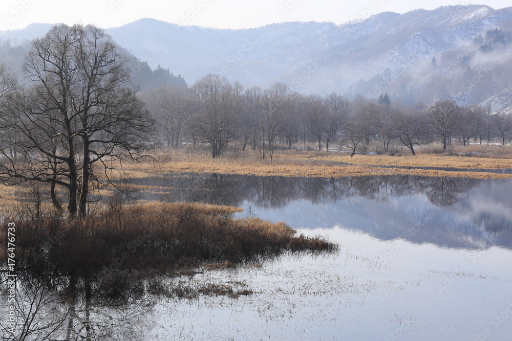 Fototapeta premium 湿原の冬の朝 荒沢湖 山形県 Arasawa Lake / Yamagata, Japan