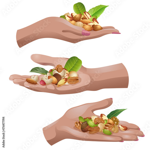 Three palms with the batch of nuts / Hands of African people with the batches of different nuts
