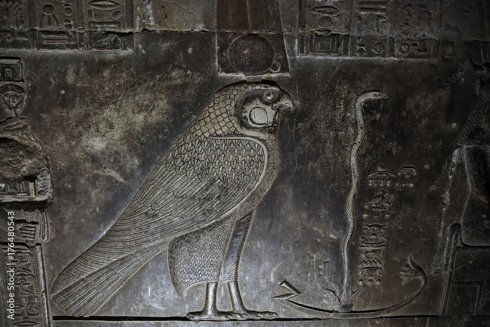 Bas-relief of egyptian falcon God Horus in the concealed crypt of the ...