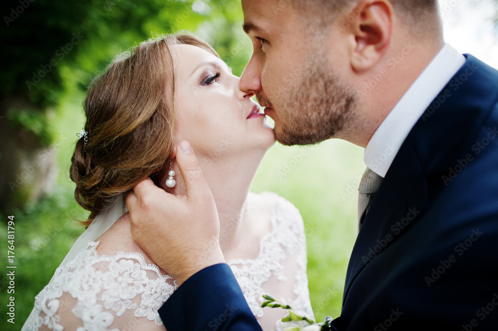 Amazing wedding couple kissing in the meadow on a lovely spring day. Amazing wedding couple kissing in the meadow on a lovely spring day.