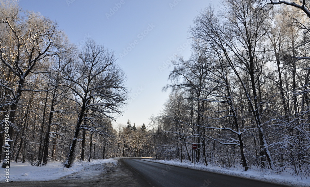 Winter landscape Winter landscape