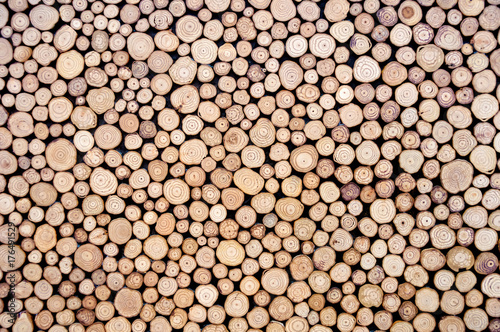 Abstract wood circle patterns.Concept background.